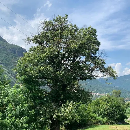 La Casa Delle Sante Capo di Ponte